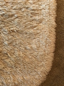 lot 140 image: Taupe Bath Rugs and Toilet Cover
