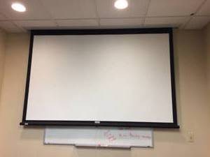 Dalite Screen - Great Condition