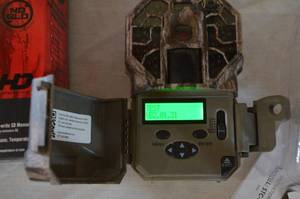 Sportsman 246