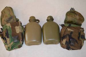 Sportsman 246