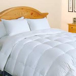 Sportsman 246