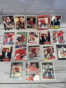 Lot of 18 Different Ed Belfour Cards