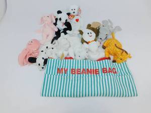 My Beanie Bag with Beanie Babies