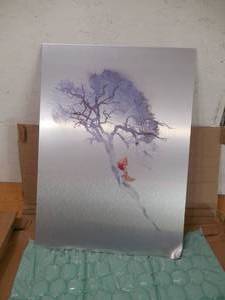 lot 123 image: Trademark Fine Art Robert Farkas Theres No Way Back Floating Brushed Aluminum Art