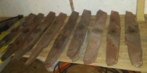 lot 54 image: Lawn Mower Blades  many.