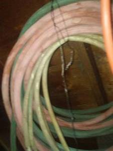 lot 147 image: Hose, bird house, lawn edge, rubber belting.