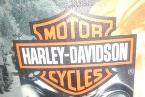 lot 500 image: Harley Davidson lamp and night light.