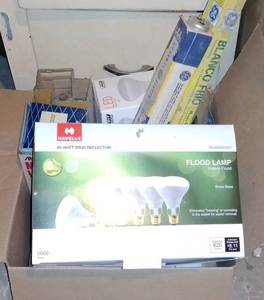 lot 510 image: Misc. Light bulbs.