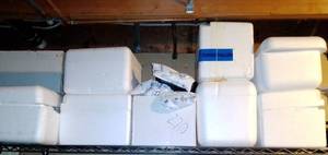 lot 513 image: 7 Styrofoam containers and Cold Gel Packs.