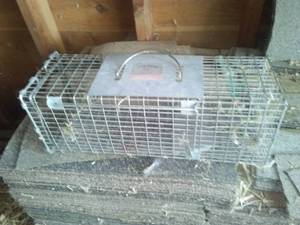 lot 361 image: Little Giant live trap