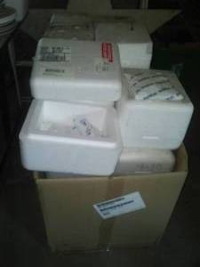 lot 393 image: About 2 dozen foam coolers & freezer gel,