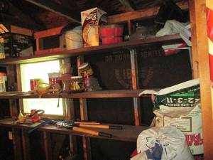 lot 108 image: Entire Contents of Shelves See Pho...