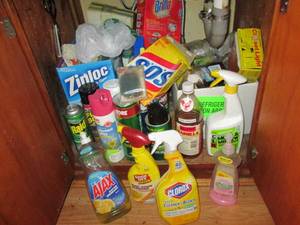 lot 122 image: Cabinet Full Of Cleaning Supplies ...
