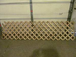 lot 75 image: lattice
