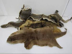 lot 151 image: Group of Animal Hide Pelts