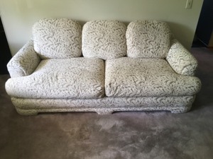 lot 1 image: Sofa & Loveseat Couch Combo