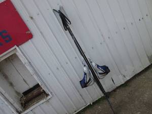 lot 67 image: Set of Alpina Snow Skis with Poles ...