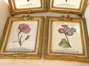 lot 301 image: Four Framed Botanical Prints