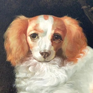 lot 356 image: Oil on Canvas Dog Portrait Lovely
