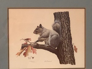 lot 375 image: Framed Al Dornish Squirrel Print