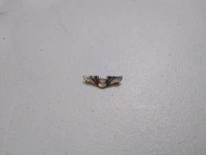 Sterling Silver Lapel Pin