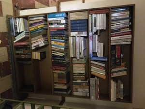 Bookshelves and Books