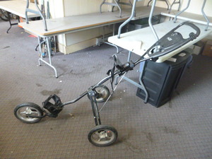 Express LS Foldable Golf Caddy