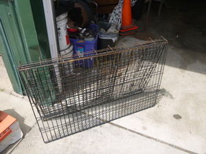 Dog Kennel
