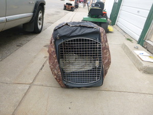 Dog Kennel