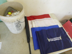 Bucket of Golf Balls