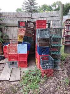 lot 207 image: TONS of Milk Crates