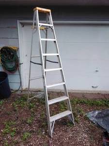 lot 240 image: 8 Davidson Aluminium Ladder