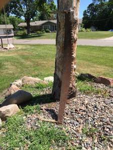 lot 4 image: Log Saw