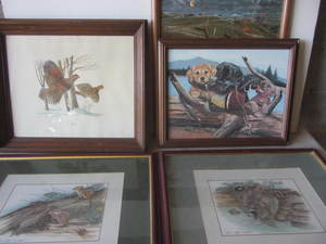 Wildlife Prints & Oil