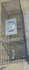 lot 85 image: Large Wire Animal Trap...