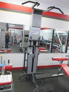 lot 31 image: Cybex Assisted Chin Up Dip Model# 5...