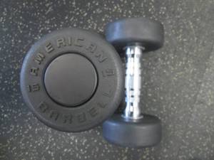 lot 61 image: (2) 15# Weights Like New...