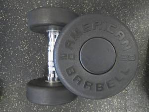 lot 62 image: (2) 20# Weights Like New...