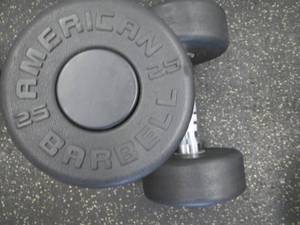 lot 63 image: (2) 25# Weights Like New...