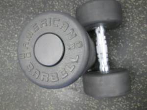 lot 64 image: (2) 30# Weights Like New...