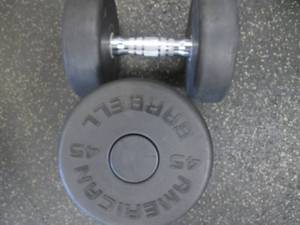 lot 67 image: (2) 45# Weights Like New...