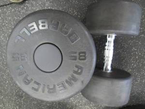 lot 75 image: (2) 85# Weights Like New...