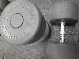 lot 77 image: (2) 95# Weights Like New...