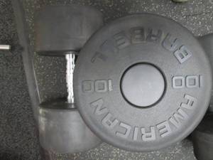 lot 78 image: (2) 100# Weights Like New...