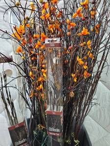 Autumn Floral Decor