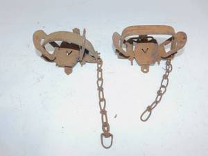 lot 103 image: Vintage Animal Traps
