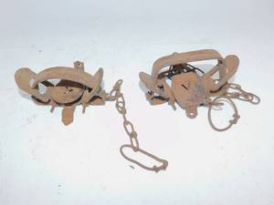 lot 104 image: Vintage Animal Traps