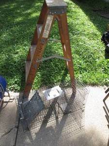 lot 30 image: Ladder With Large Trap See Photos...