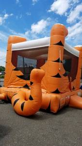 lot 10 image: Tiger Belly Bouncer