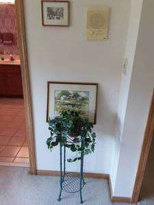 lot 63 image: Framed Prints, Stand & Greenery